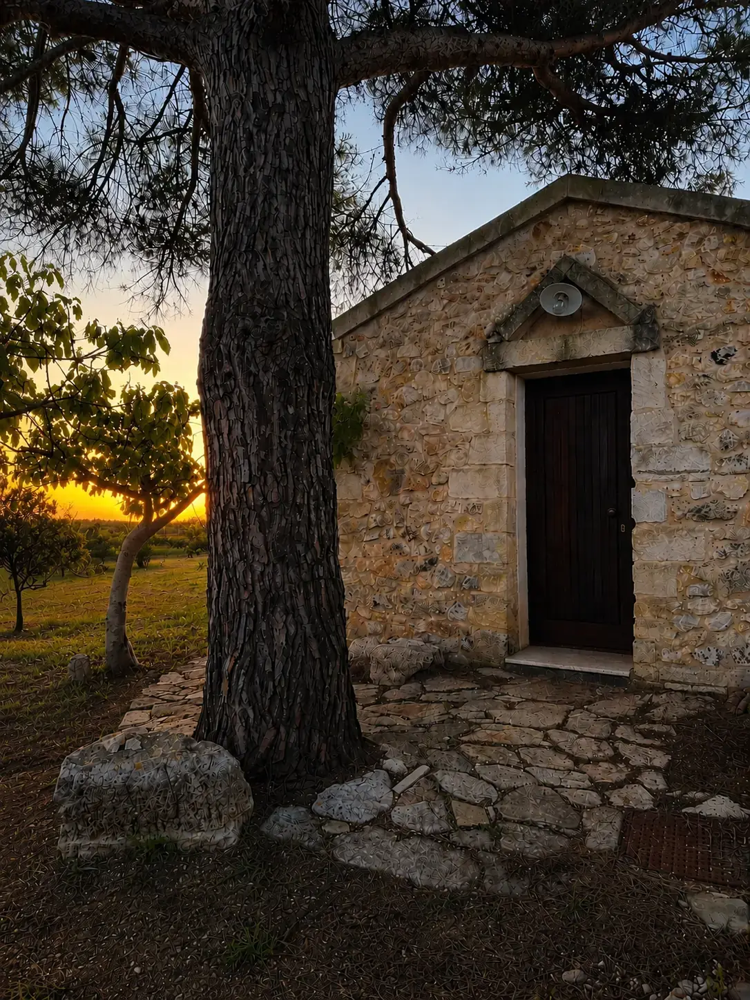 Camere dell'Agriturismo AROMI